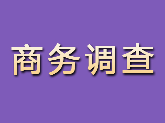 固原商务调查